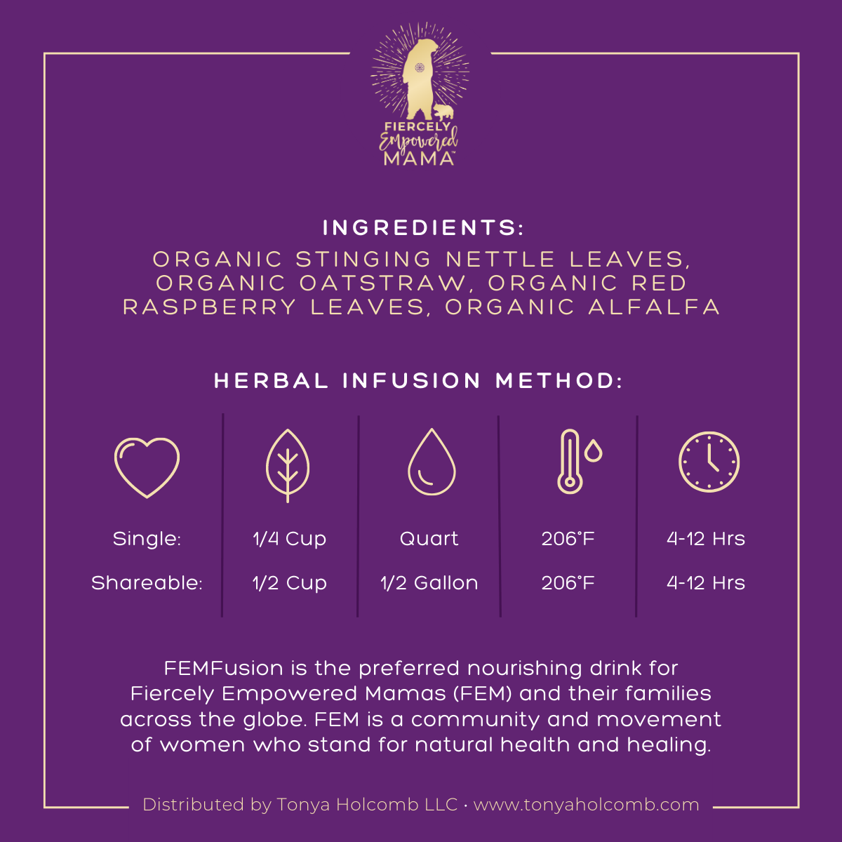 FEMfusion — Pack of 2